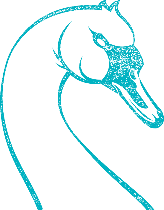 Ugly Duck Printing Company Custom Apparel and Accessories