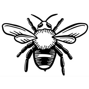 bee R2P